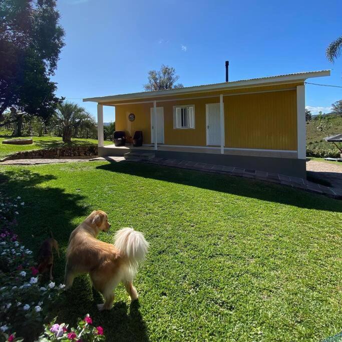 Casa Vigneto Octavio No Vale Dos Vinhedos Villa Bento Gonçalves Eksteriør billede