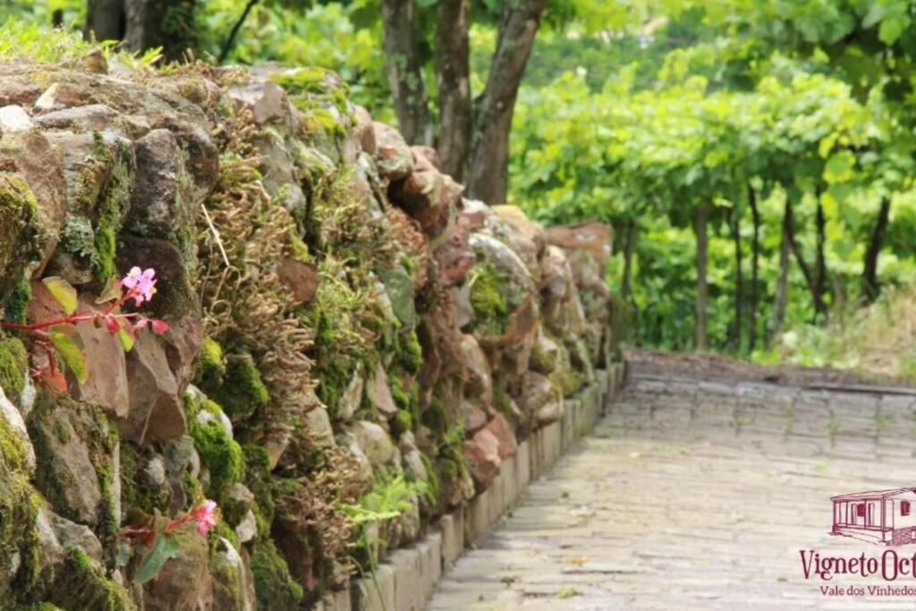 Casa Vigneto Octavio No Vale Dos Vinhedos Villa Bento Gonçalves Eksteriør billede